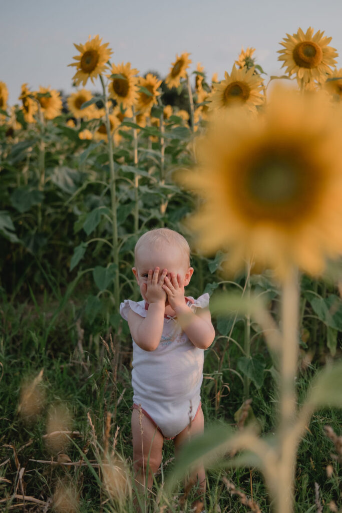 Jeune enfant cachant son visage dans un champ de tournesols pendant une séance photo famille