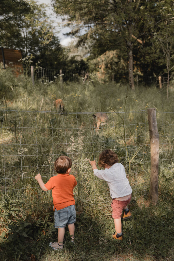photographe-famille-nantes-160